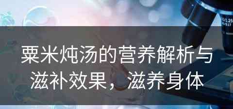 粟米炖汤的营养解析与滋补效果，滋养身体